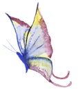 Abstract Watercolor hand drawn butterfly Royalty Free Stock Photo