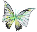 Abstract Watercolor hand drawn butterfly Royalty Free Stock Photo