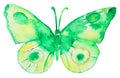 Abstract Watercolor hand drawn butterfly Royalty Free Stock Photo