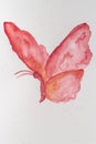 Abstract watercolor hand drawn butterfly. Royalty Free Stock Photo