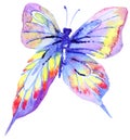 Abstract Watercolor hand drawn butterfly Royalty Free Stock Photo