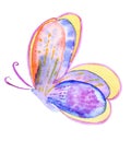 Abstract Watercolor hand drawn butterfly Royalty Free Stock Photo