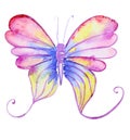 Abstract Watercolor hand drawn butterfly Royalty Free Stock Photo