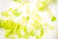 Abstract watercolor hand painted background. Green stain of paint on a white napkin Royalty Free Stock Photo