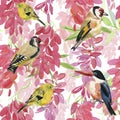 Abstract watercolor hand painted backgrounds with birds and flowers, Royalty Free Stock Photo