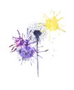 Abstract watercolor illustration of bright multicolor dandelions isolated on white background Royalty Free Stock Photo
