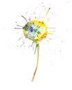 Abstract watercolor illustration of bright multicolor dandelions isolated on white background Royalty Free Stock Photo