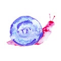 Abstract watercolor illustration of a pink snail with a purple shell. Isolated on white background Royalty Free Stock Photo