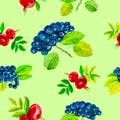 Abstract watercolor illustration of rosehip flowers and berries with leaves and black chokeberry. Isolated on green background.