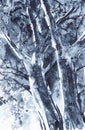 Abstract watercolor monochrome landscape of the Russian forest.Illustration