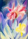 Abstract watercolor original painting colorful of canna lily flowers Royalty Free Stock Photo