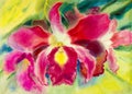 Abstract watercolor original painting colorful of orchid flower