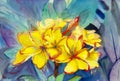 Abstract watercolor original painting yellow color of desert rose Royalty Free Stock Photo