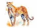 Watercolor painted exotic wild cheetah, cat Leopard, isolated on white background Royalty Free Stock Photo