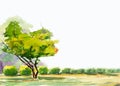 Abstract watercolor painting colorful of one tree in the garden. Royalty Free Stock Photo