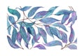 Abstract watercolor painting, eucalyptus leaves