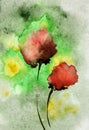 Abstract watercolor painting of poppy flowers in green background , floral design background Royalty Free Stock Photo