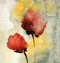 Abstract watercolor painting of poppy flowers in grey background Royalty Free Stock Photo