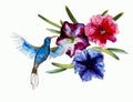 Abstract watercolor painting of small flying blue humming bird violet Sabrewing with flowers isolated on white Royalty Free Stock Photo