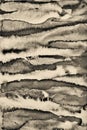 Abstract watercolor on paper texture as background. In Sepia ton Royalty Free Stock Photo
