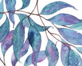 Abstract watercolor pattern with eucalyptus leaves