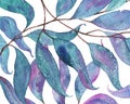 Abstract watercolor pattern with eucalyptus leaves