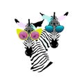 Abstract watercolor pattern Two funny striped Zebra girl man sunglasses Royalty Free Stock Photo
