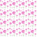 Abstract watercolor pink Chamomile pyrethrum illustration. Isolated on white background.Seamless pattern Royalty Free Stock Photo