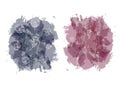 Abstract watercolor spot backgrounds with feathers and flowers. Splash texture background isolated on white background.