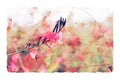 Abstract watercolor style illustration of pink and red field flowers Royalty Free Stock Photo