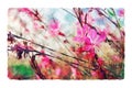 Abstract watercolor style illustration of pink and red field flowers Royalty Free Stock Photo