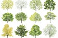 Abstract watercolor tree side view isolated on white background for landscape architecture layout drawings, elements for