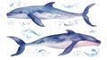 Abstract Watercolor Whales with Color Splash AI Generated