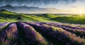 Abstract watercolour painting of the field of flowers on the hill landscapes