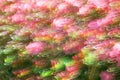 Abstract wave background image of azalea flowers with motion blur effect