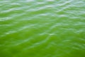 Abstract wavy liquid green background with reflections Royalty Free Stock Photo