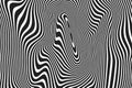 Abstract wavy stripes pattern of twisted curved white and balck ripple lines background. Vector modern trendy distortion 3d relief
