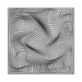 Abstract wavy twisted distorted lines net black and white texture