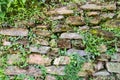 Abstract weathered stone brick wall with vegetation background texture, rock, stone, background, abstract, black, wall, surface