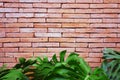 Abstract weathered textured red brick wall background. Brickwork stonework interior, rock old clean concrete grid uneven