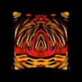 Abstract Background or Wallpaper: Masked Tigress Pillow