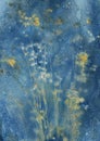 Abstract wet cyanotype of a dried linen plant with seeds