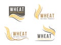 Abstract Wheat rice logo sign vector design