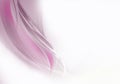 Abstract white background with dynamic pink and white lines