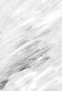 Abstract white background painting. Light monochrome backdrop. Black and white minimalist art. Brush strokes