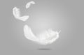 Abstract White Bird Feathers Falling in The Air. Feathers on Gray Background. Floating Swan Feathers