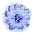 Abstract white-blue flower in watercolor style. Flower isolated on white background with clipping path. Close-up.For design, textu