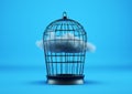 Abstract white fluffy cloud caged inside cage