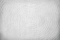 Abstract white gray texture old patterns on background Royalty Free Stock Photo