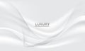 Abstract white grey wave luxury premium background vector Royalty Free Stock Photo